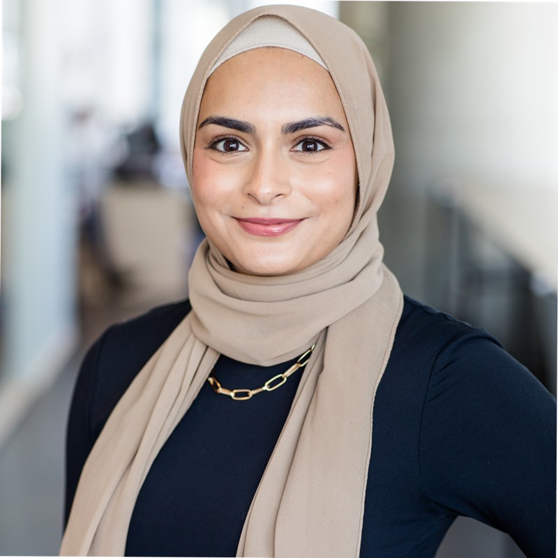 Rida Mehdi